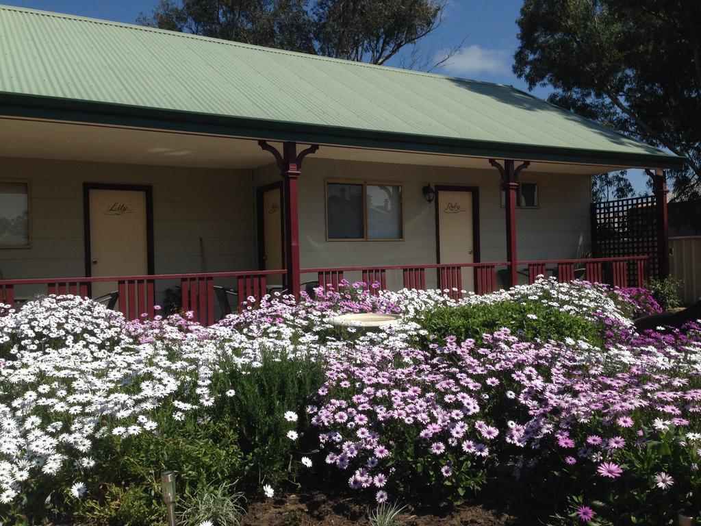 The Nosh & Nod - Avon Terrace Motel York Buitenkant foto
